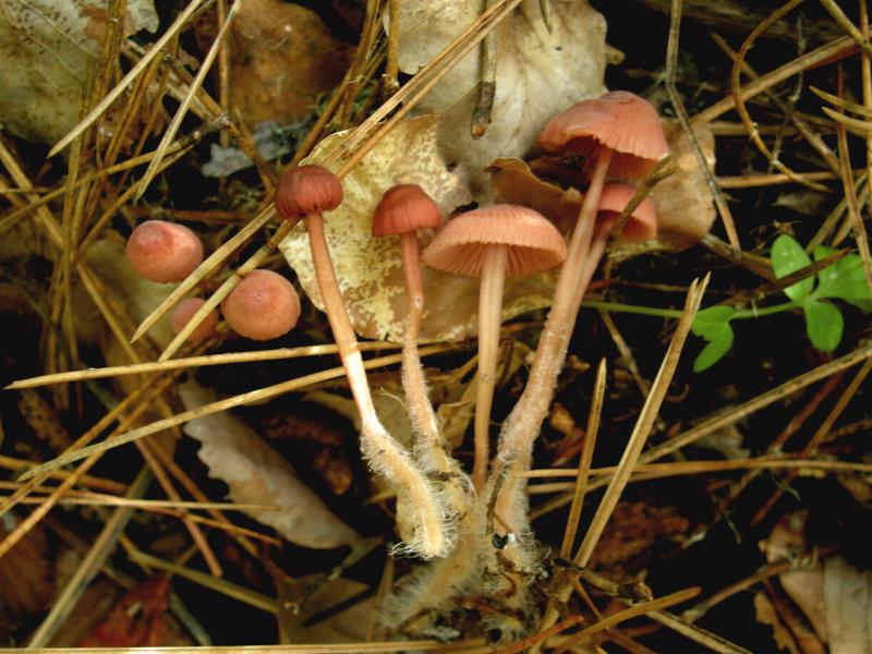 Escursione del 18.10.08