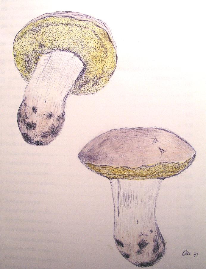 Per me non � facile.