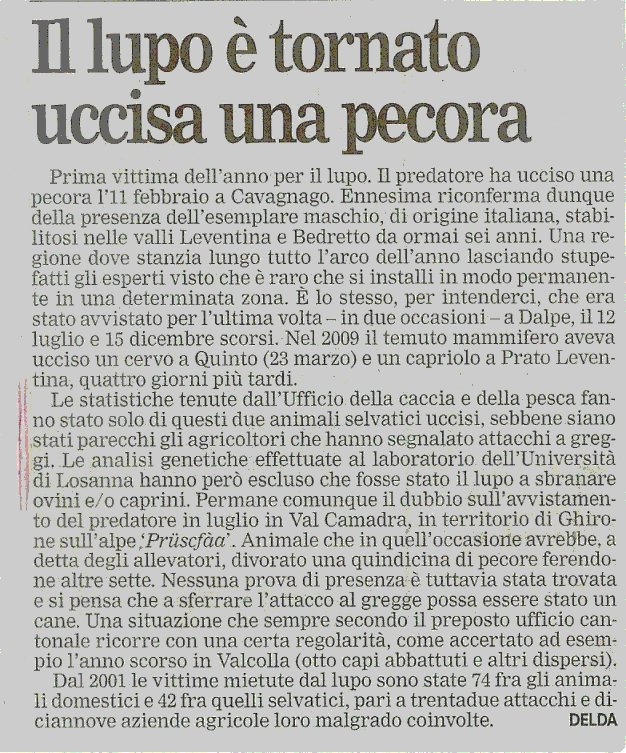Il lupo nel Cantone Ticino