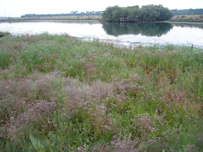 Uscita in laguna nel parco delta Po a Ravenna