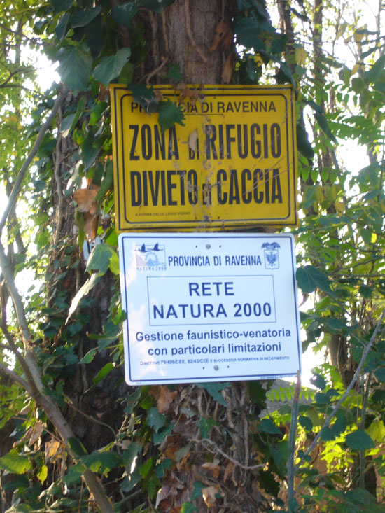 Breve nota sulla pressione venatoria a San Vitale (delta Po)