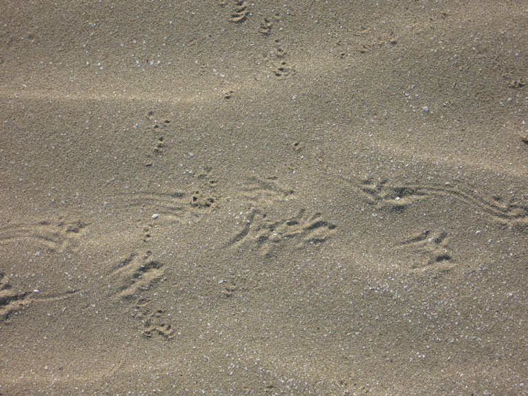 Sulla spiaggia