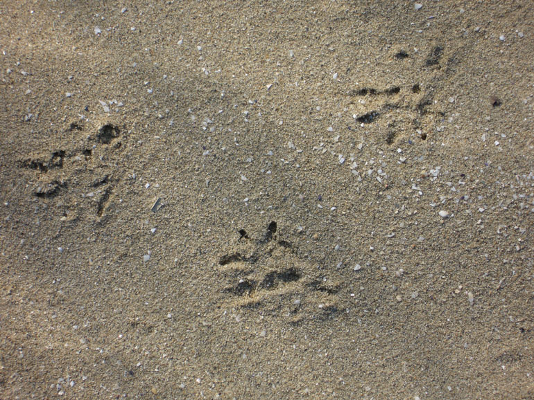 Sulla spiaggia