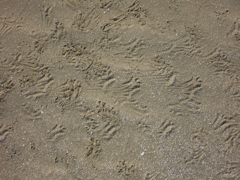 Sulla spiaggia