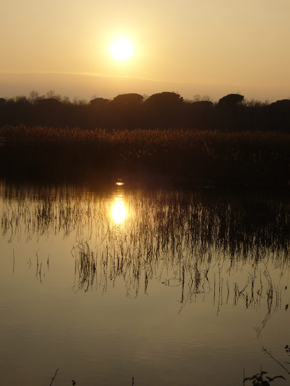 Uscita in laguna nel parco delta Po a Ravenna