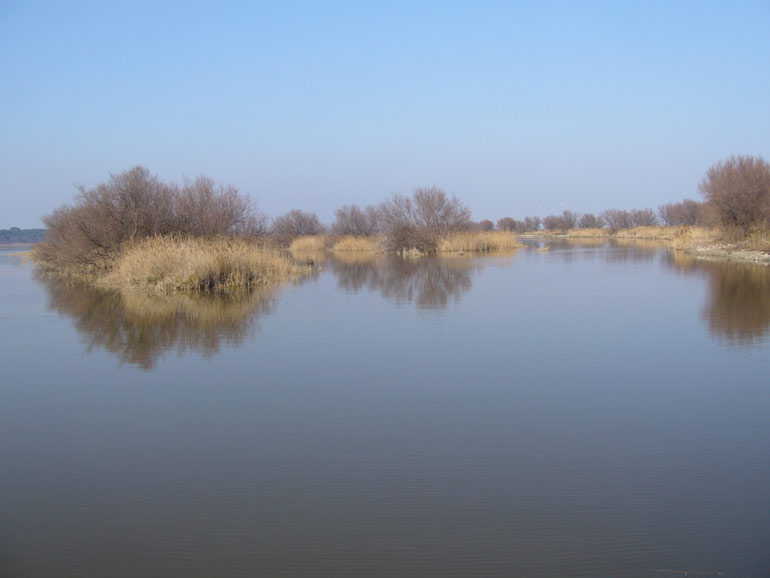 Uscita in laguna nel parco delta Po a Ravenna