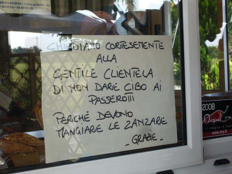 Uscita in laguna nel parco delta Po a Ravenna