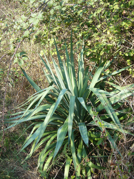 Uscita in laguna nel parco delta Po a Ravenna