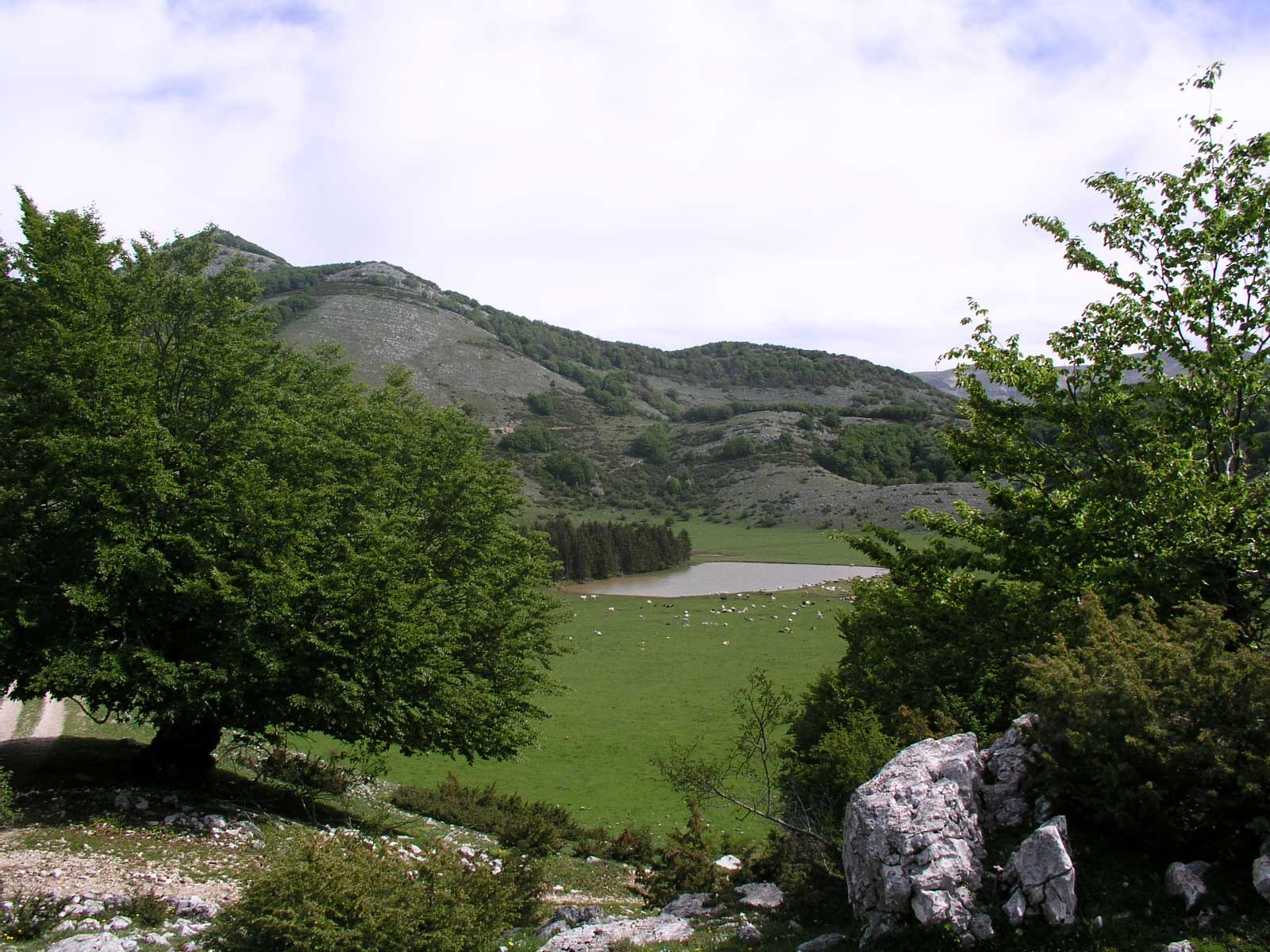 Laghi....del LAZIO