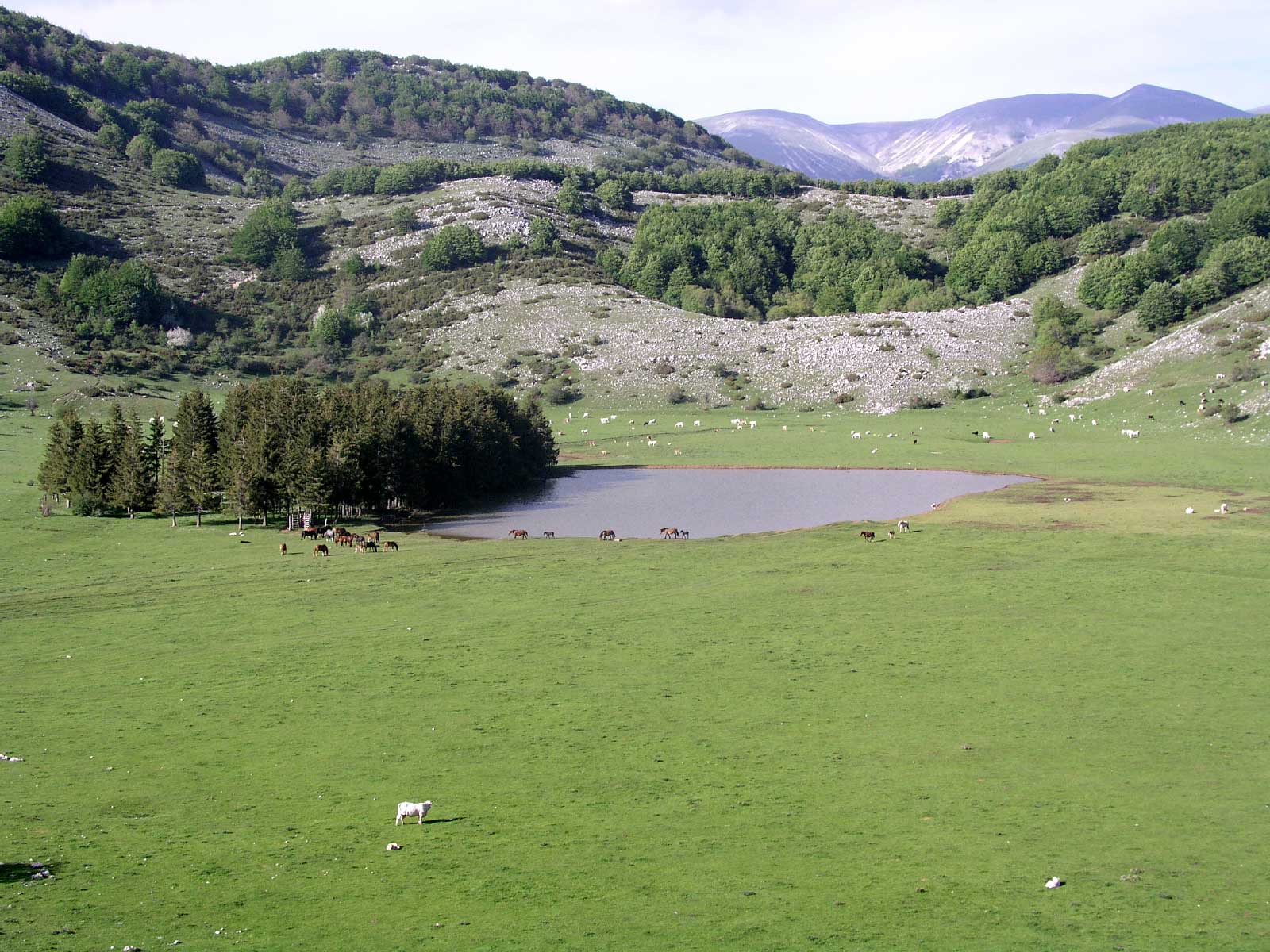 Laghi....del LAZIO