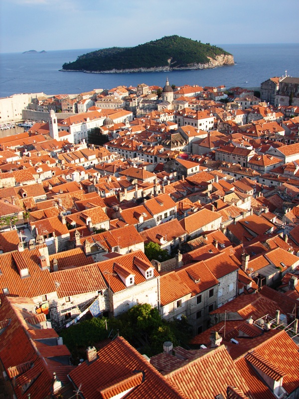 Agathylla (Agathyllina) lamellosa Dubrovnik