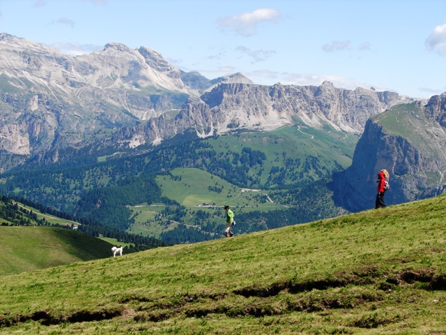 Arianta val di Fassa