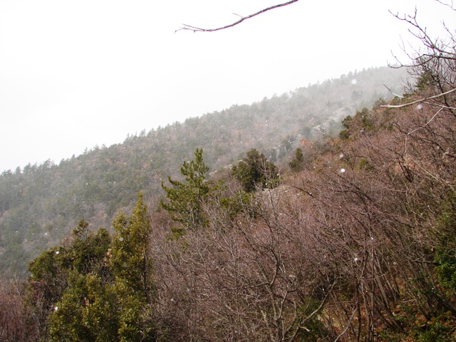 Medora Gualdo Tadino