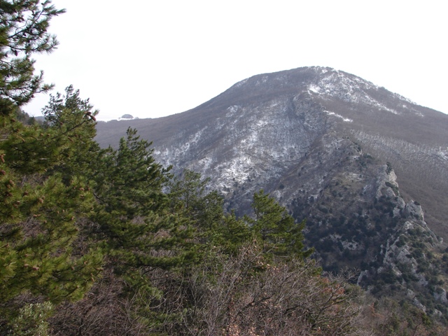 Medora Gualdo Tadino