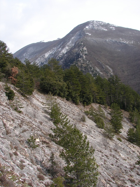 Medora Gualdo Tadino