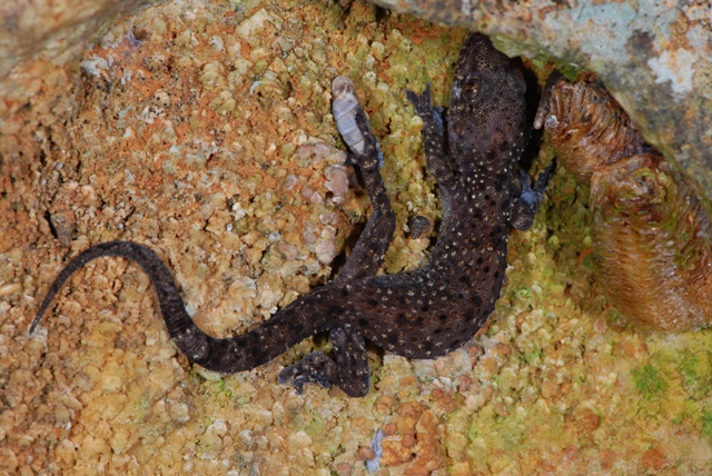 Toglietemi tutto...........