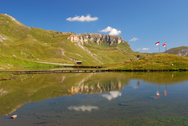 Lymnaeidae Grossglockner: Gakba (Galba) truncatula