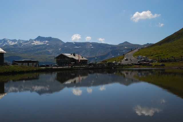 Lymnaeidae Grossglockner: Gakba (Galba) truncatula