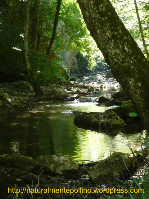 Torrente Peschiera (Parco Nazionale del Pollino)
