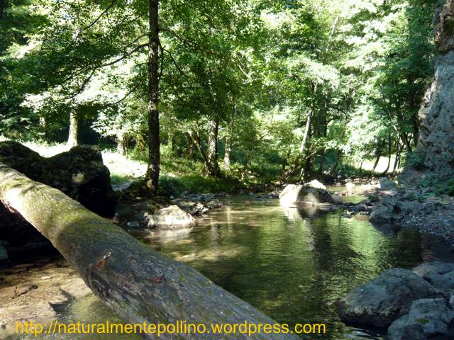 Torrente Peschiera (Parco Nazionale del Pollino)
