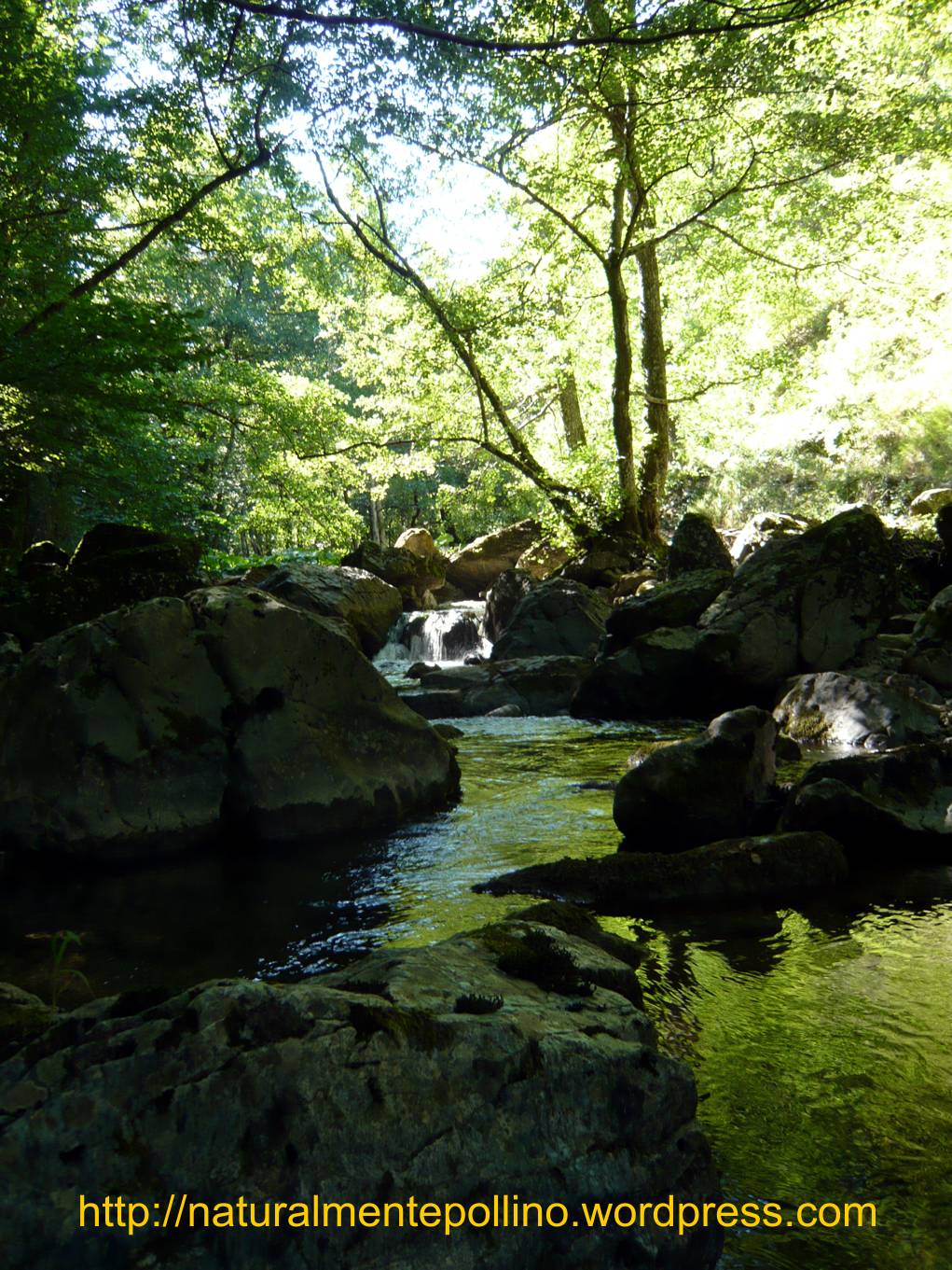 Torrente Peschiera (Parco Nazionale del Pollino)