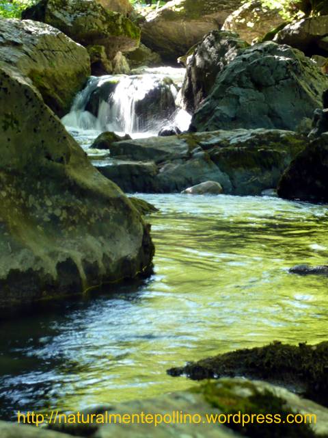 Torrente Peschiera (Parco Nazionale del Pollino)