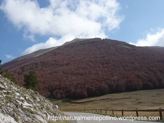 Autunno nel Pollino