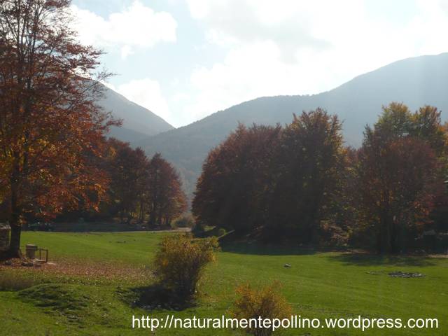 Autunno nel Pollino