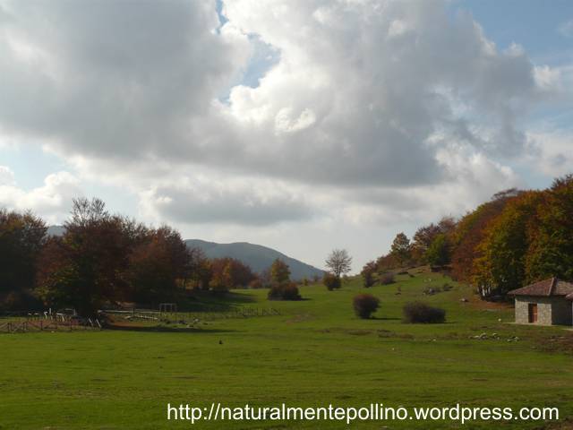 Autunno nel Pollino