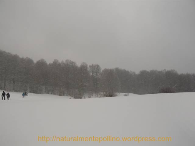 Pollino in inverno: verso i Pini Loricati