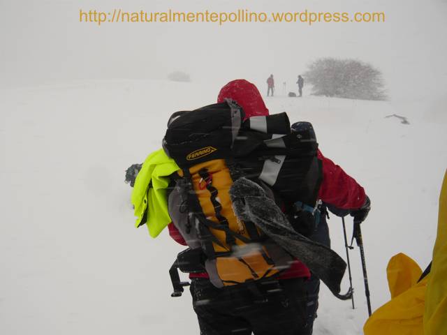 Pollino in inverno: verso i Pini Loricati