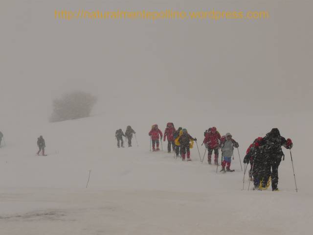 Pollino in inverno: verso i Pini Loricati