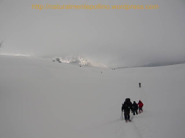 Pollino in inverno: verso i Pini Loricati