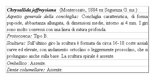 Il genere Chrysallida nel Mediterraneo