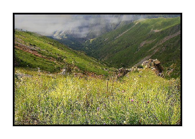Parco del Beigua....crinale