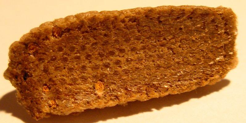 Ooteca di Iris oratoria