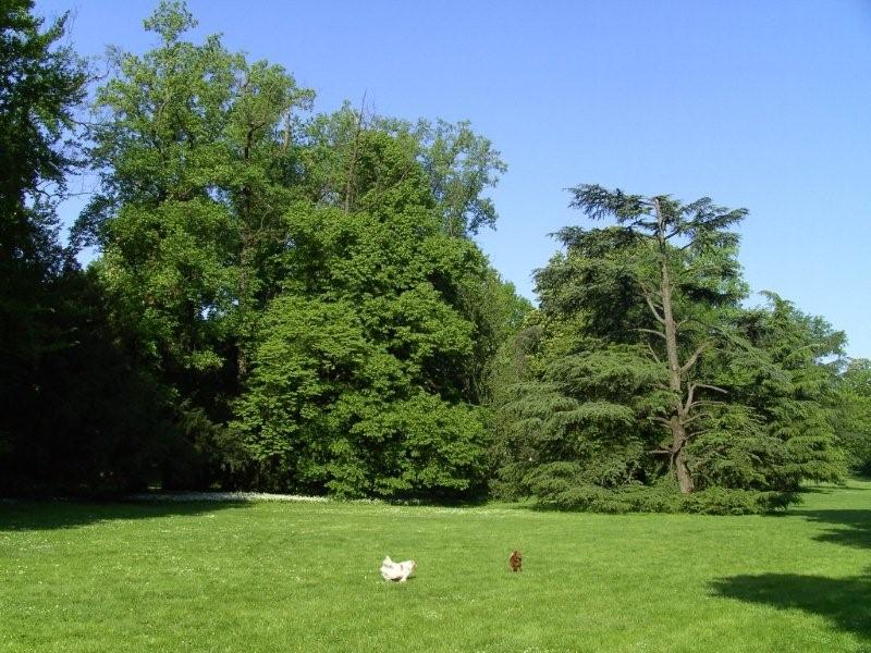 La Villa Reale di Monza