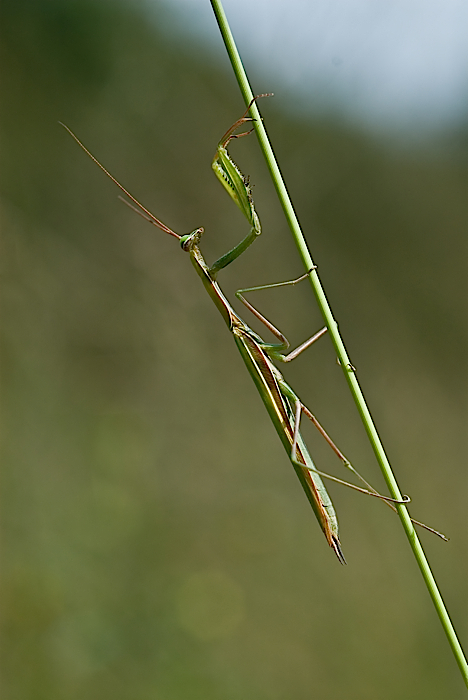 incontri si sabato (in baraggia)