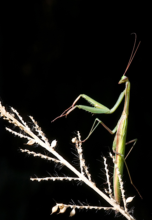 incontri si sabato (in baraggia)