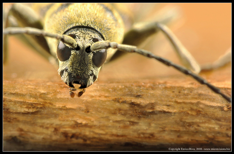 Spolverando l''archivio...