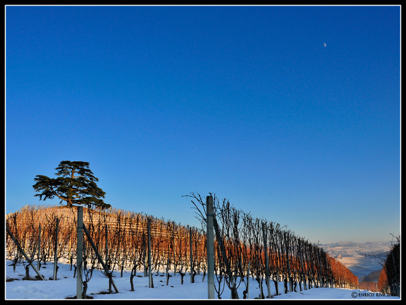 Colline d''inverno