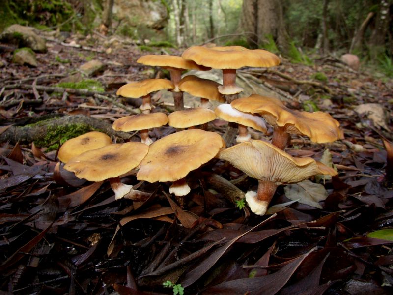 Famigliola da identificare