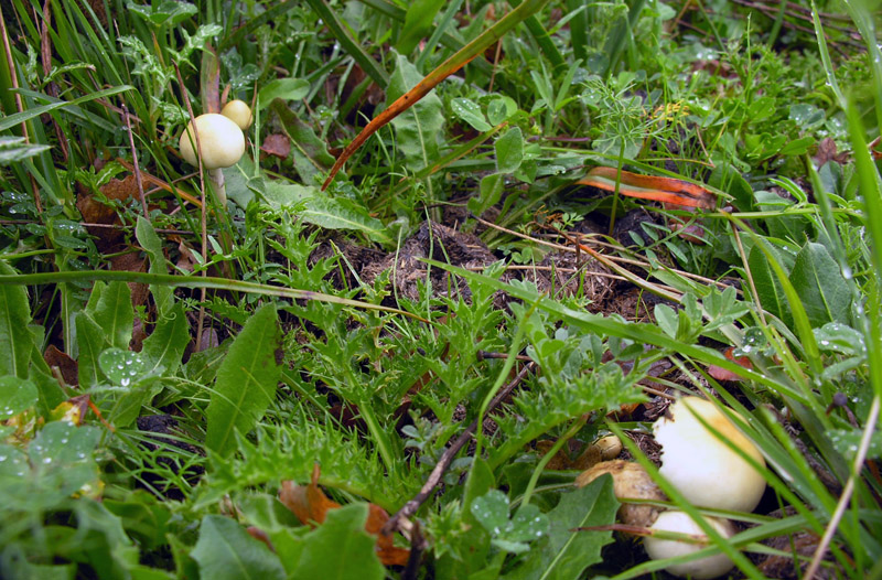 Il letargo � finito!