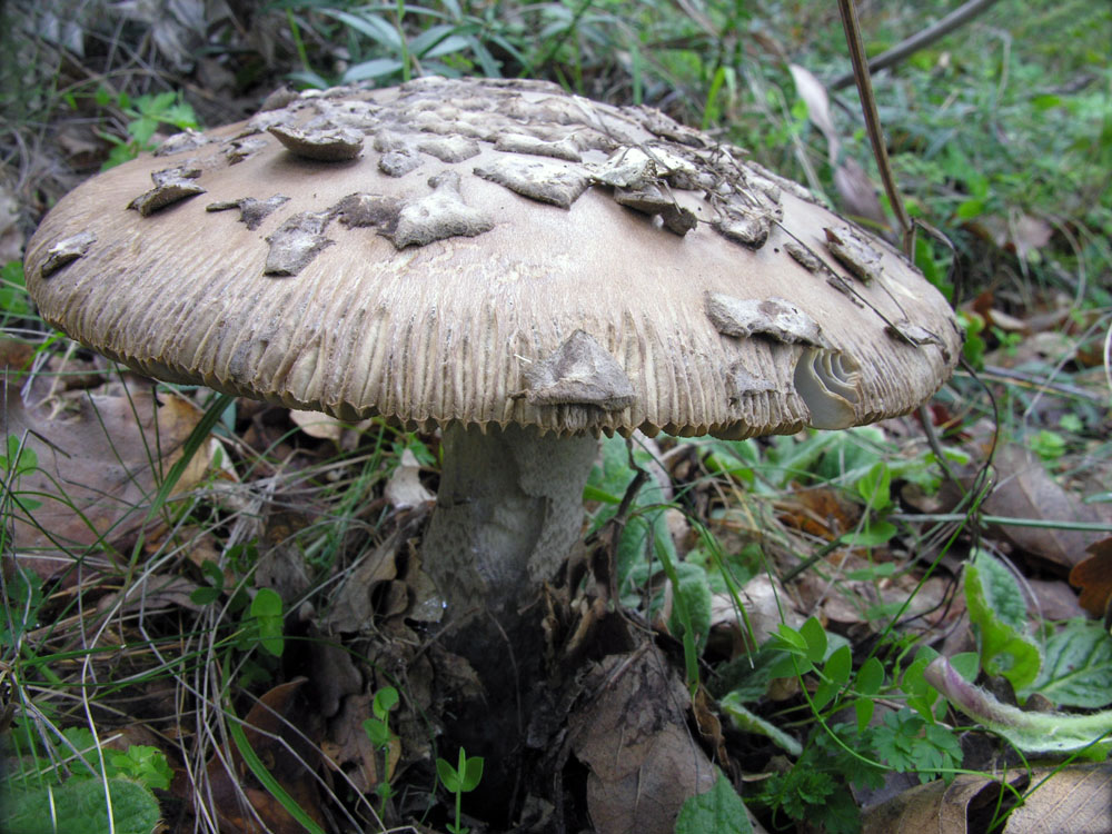 Nonostante il freddo!