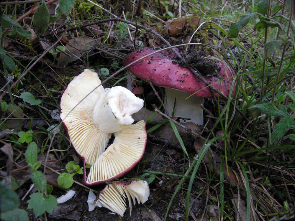 Nonostante il freddo!