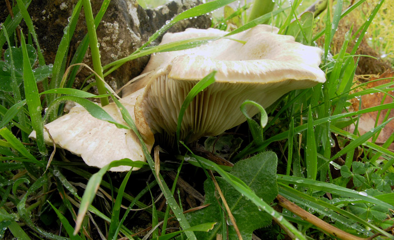 Il letargo � finito!