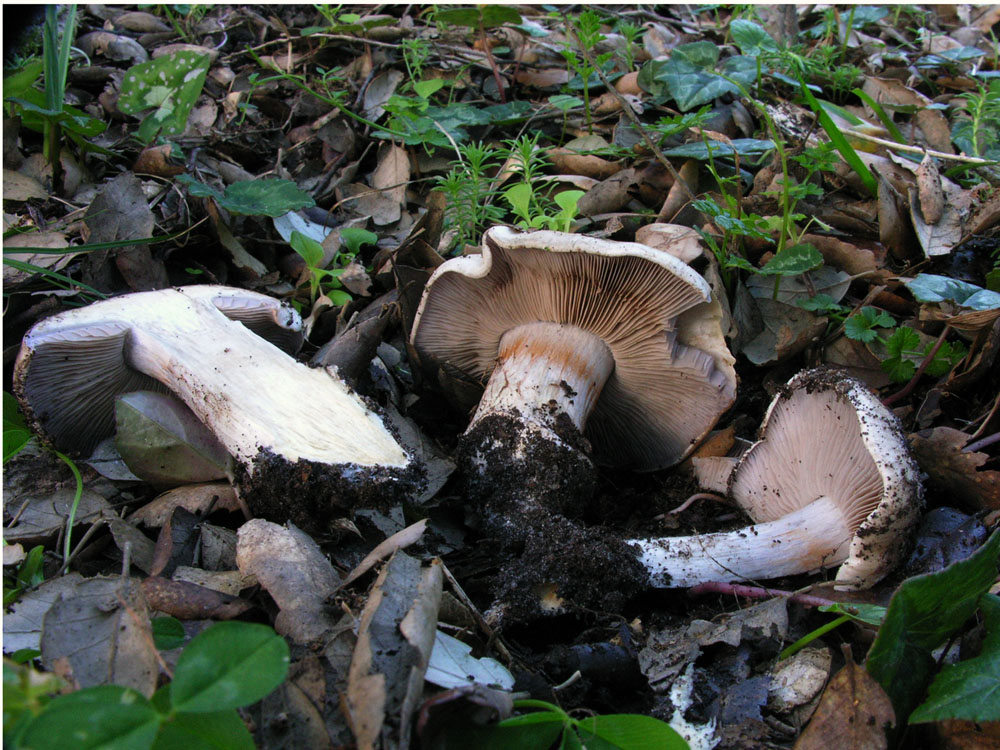 Nonostante il freddo!