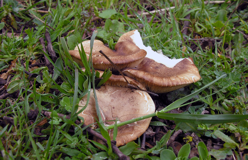 Il letargo � finito!