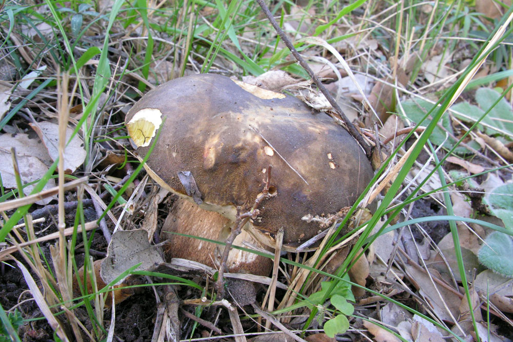 Nonostante il freddo!