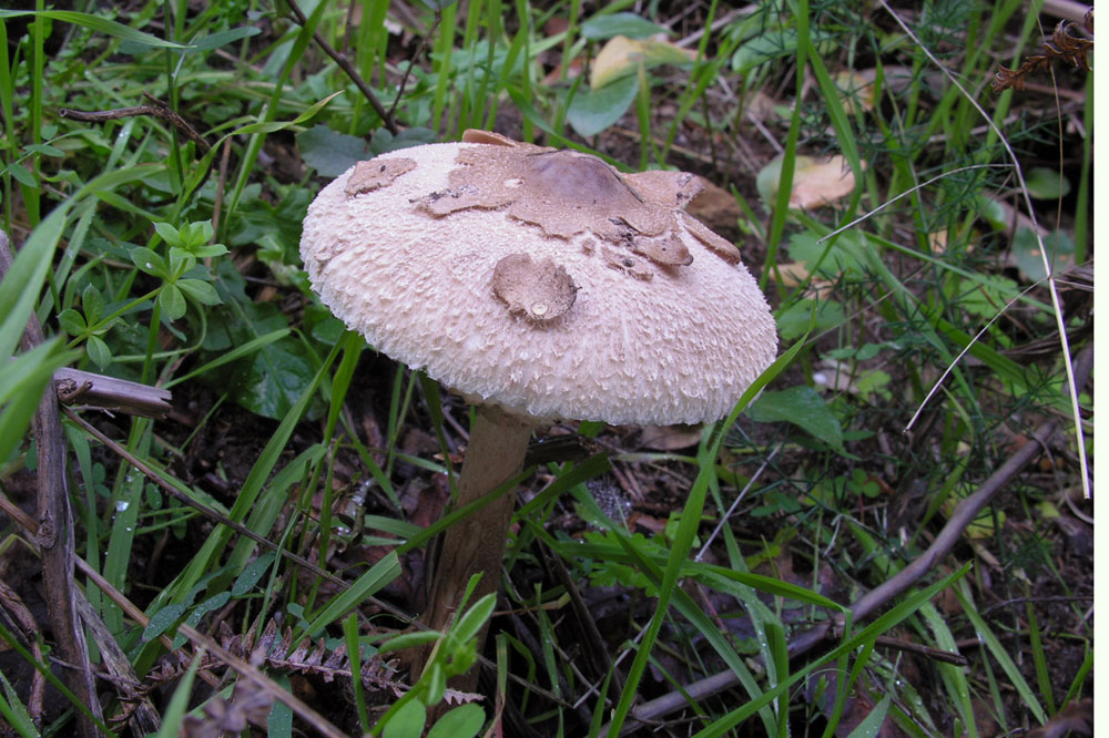 Nonostante il freddo!